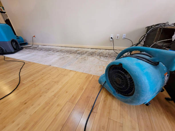 Professional Water Removal technician working in Trade, TN